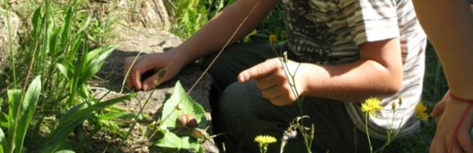 Zu sehen sind die Oberkörper von zwei Kindern. Sie beobachten eine Weinbergschnecke, im Grünen auf einer Natursteinmauer.